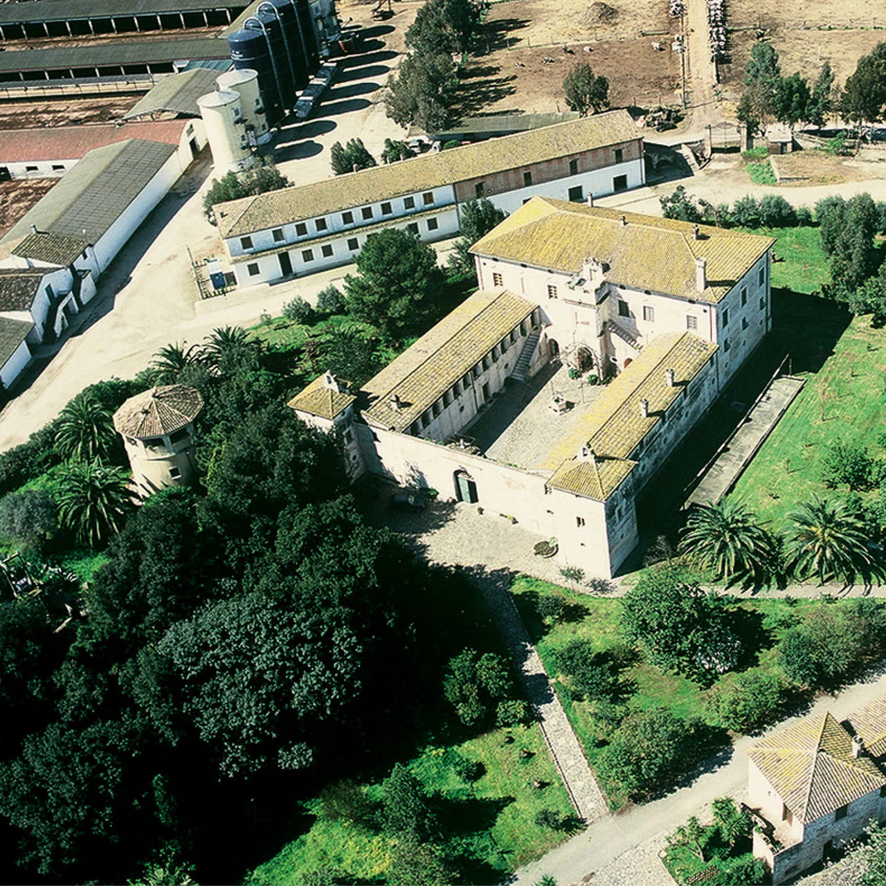 L'Eccellenza Autentica della Piana di Sibari