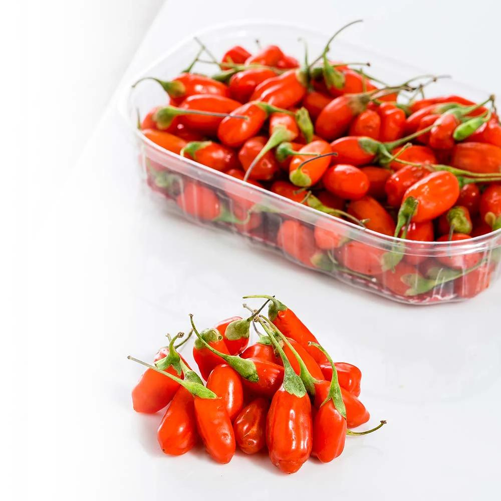 Bacche di Goji fresche - Image 3