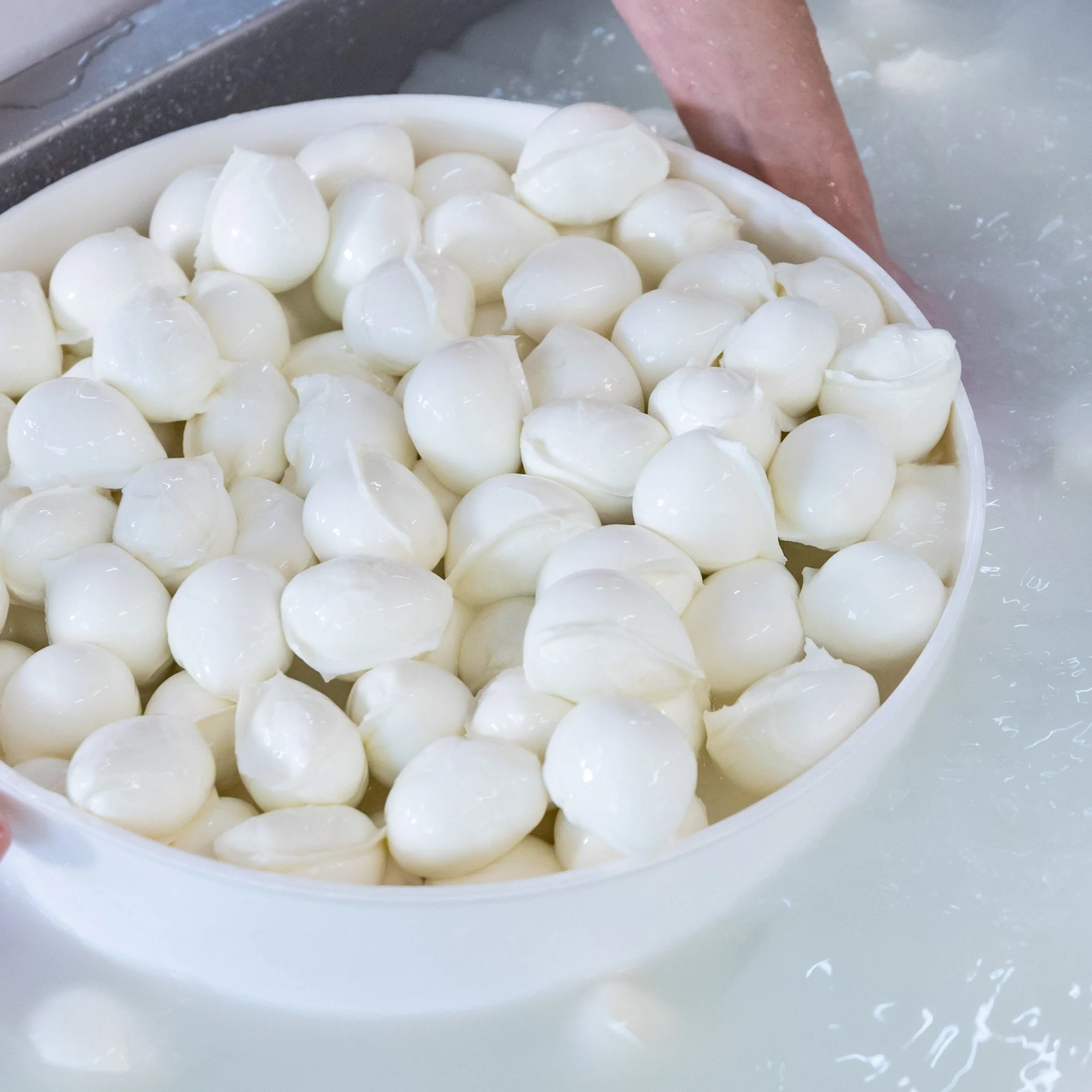 Bocconcini di latte di Bufala - Image 5