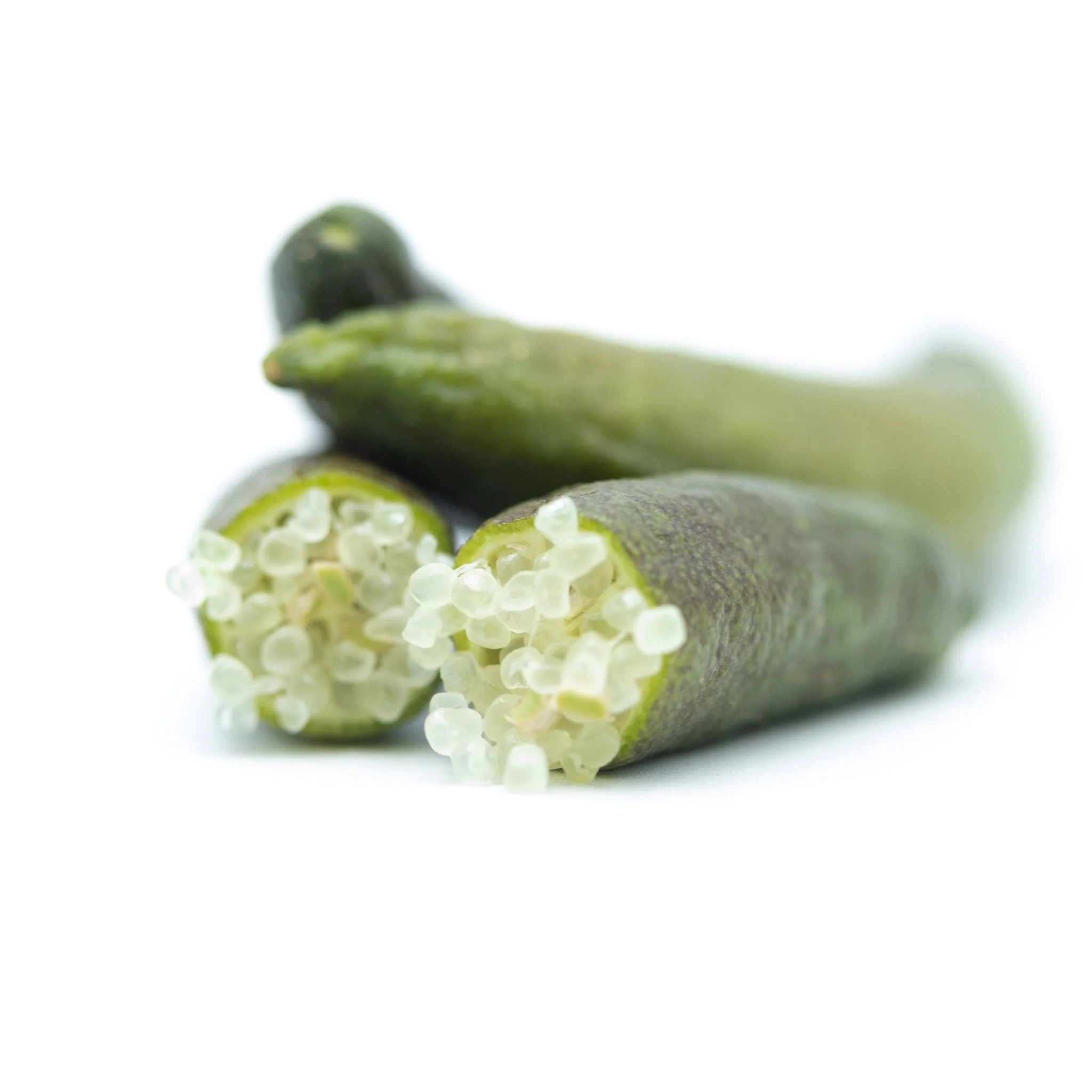 Finger Lime fresco - Image 3