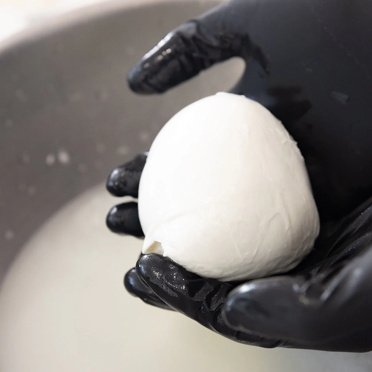 Mozzarella di latte di Bufala - Image 5