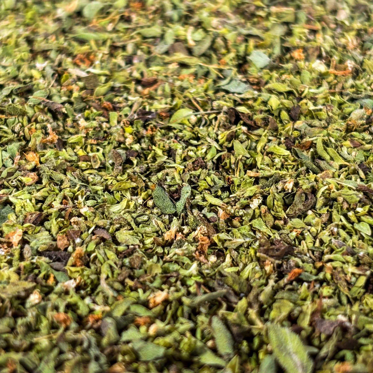 Origano essiccato - Image 3